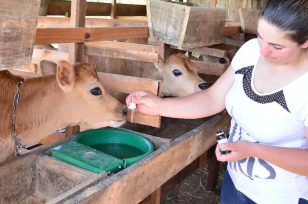 Curso de homeopatia integrativa em Araranguá promove formação para profissionais da saúde e agricultura