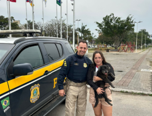 PRF e voluntária salvam cachorro na BR-101 e o devolvem aos donos