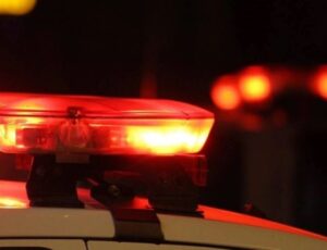 Foragido bate em árvore ao fugir da polícia