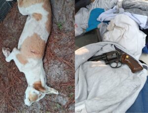 Homem que matou cachorro com tiro é preso na Capital