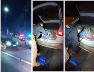 Vídeo: PRF apreende 114 quilos de maconha em BC