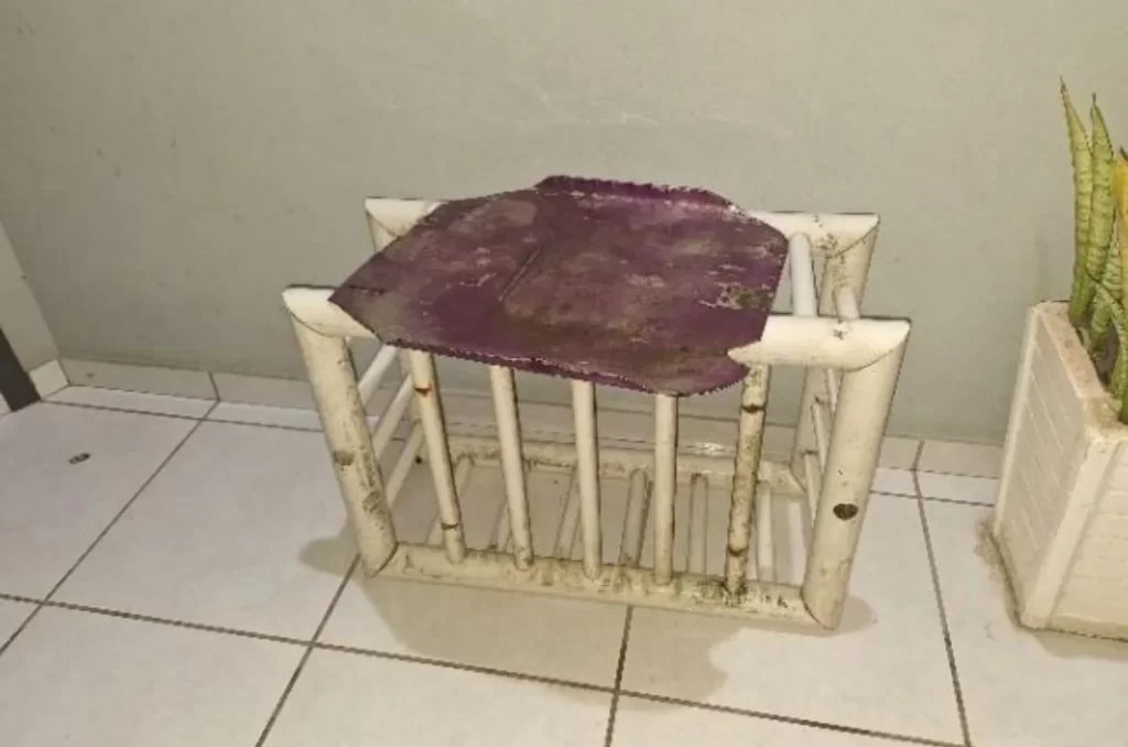 Reclamação de volume termina em ameaça e polícia em Araranguá