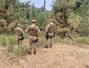 Roceiro encontra corpos em decomposição em Barra Velha
