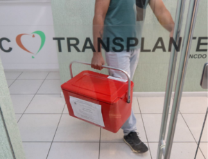 Setembro Verde: SC reforça a importância da doação de órgãos