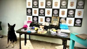 [VÍDEO] Operação policial conjunta desarticula esquema criminoso de oferecimento de vagas falsas de emprego