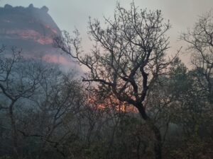 Bombeiros de SC resgatam 16 brigadistas perdidos no Mato Grosso