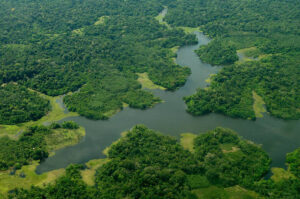 CMA analisa uso de arrecadação do petróleo para proteção da Amazônia