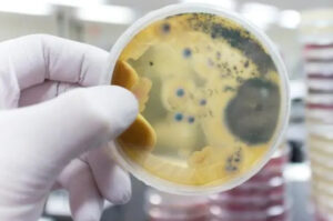 Laboratório da Unesc avalia qualidade do ar em Criciúma
