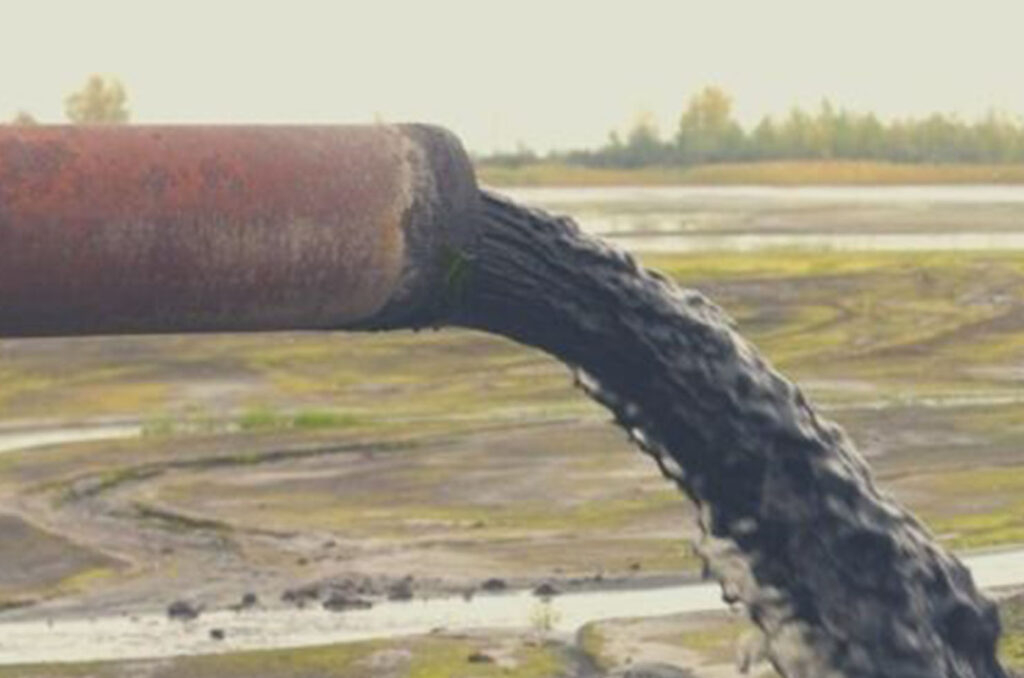 Foto: divulgação / Instituto Brasileiro de Sustentabilidade