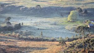 Geada surpreende a Serra catarinense em manhã de primavera ensolarada