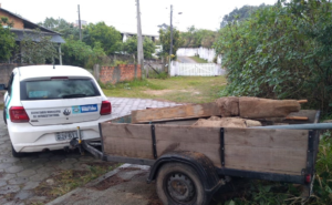 Pilares irregulares nas dunas da Ribanceira são removidos