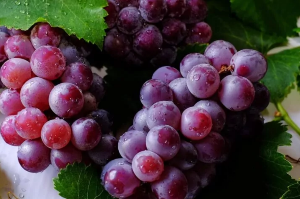 Quem não deve tomar suco de uva?