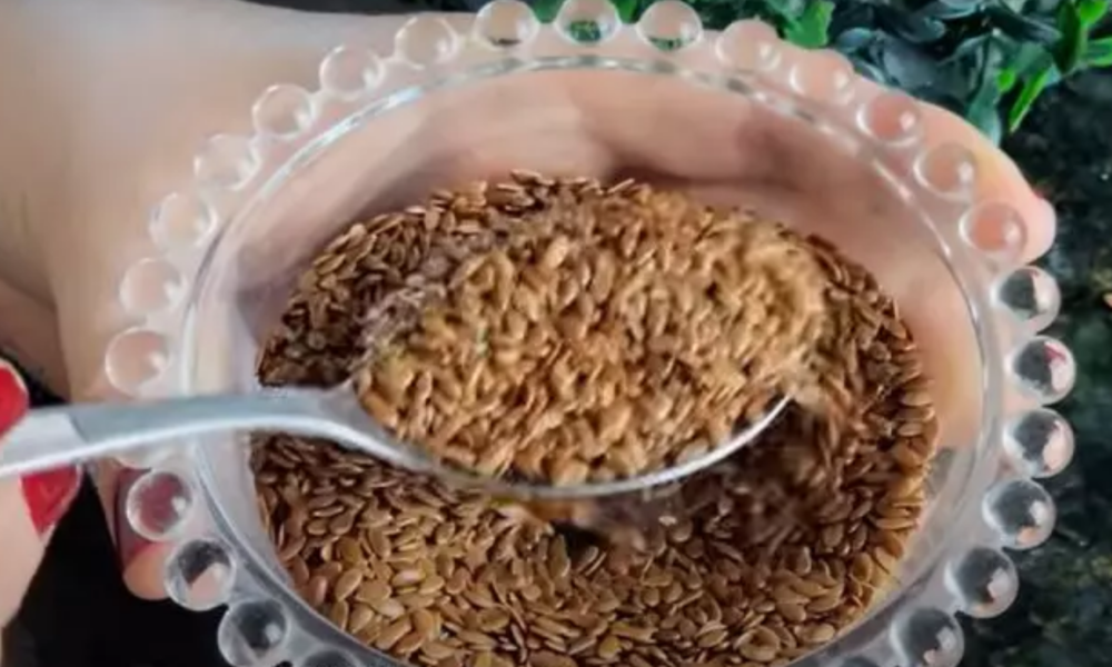 Uma colher deste alimento por dia vai ajudar na sua concentração