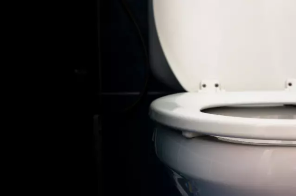 Nova tecnologia vai mudar a forma como você vai ao banheiro