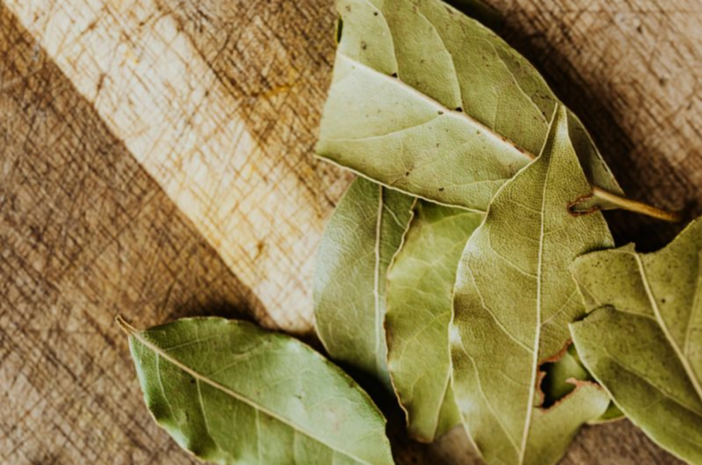 Saiba qual é o melhor chá para reduzir as dores no corpo