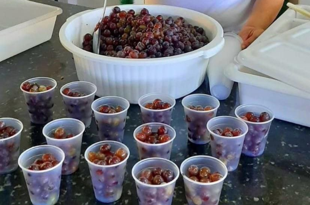 Programa Banco de Alimentos de Tubarão atinge a marca de 800 pessoas beneficiadas