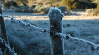 Ferramenta de monitoramento do frio para fruteiras é aprimorado