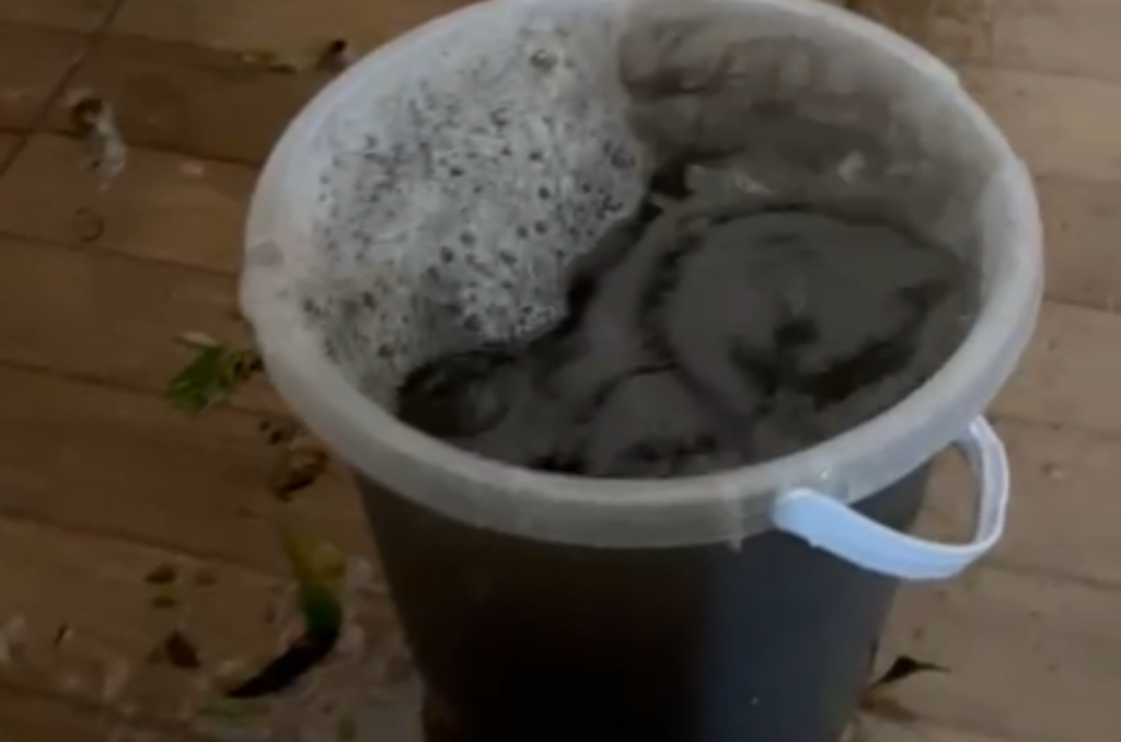 Santa Catarina registra primeira ocorrência de chuva preta