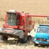 Aumento na produção agrícola é estimado para safra de verão