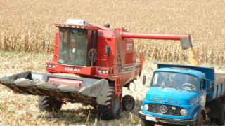 Aumento na produção agrícola é estimado para safra de verão