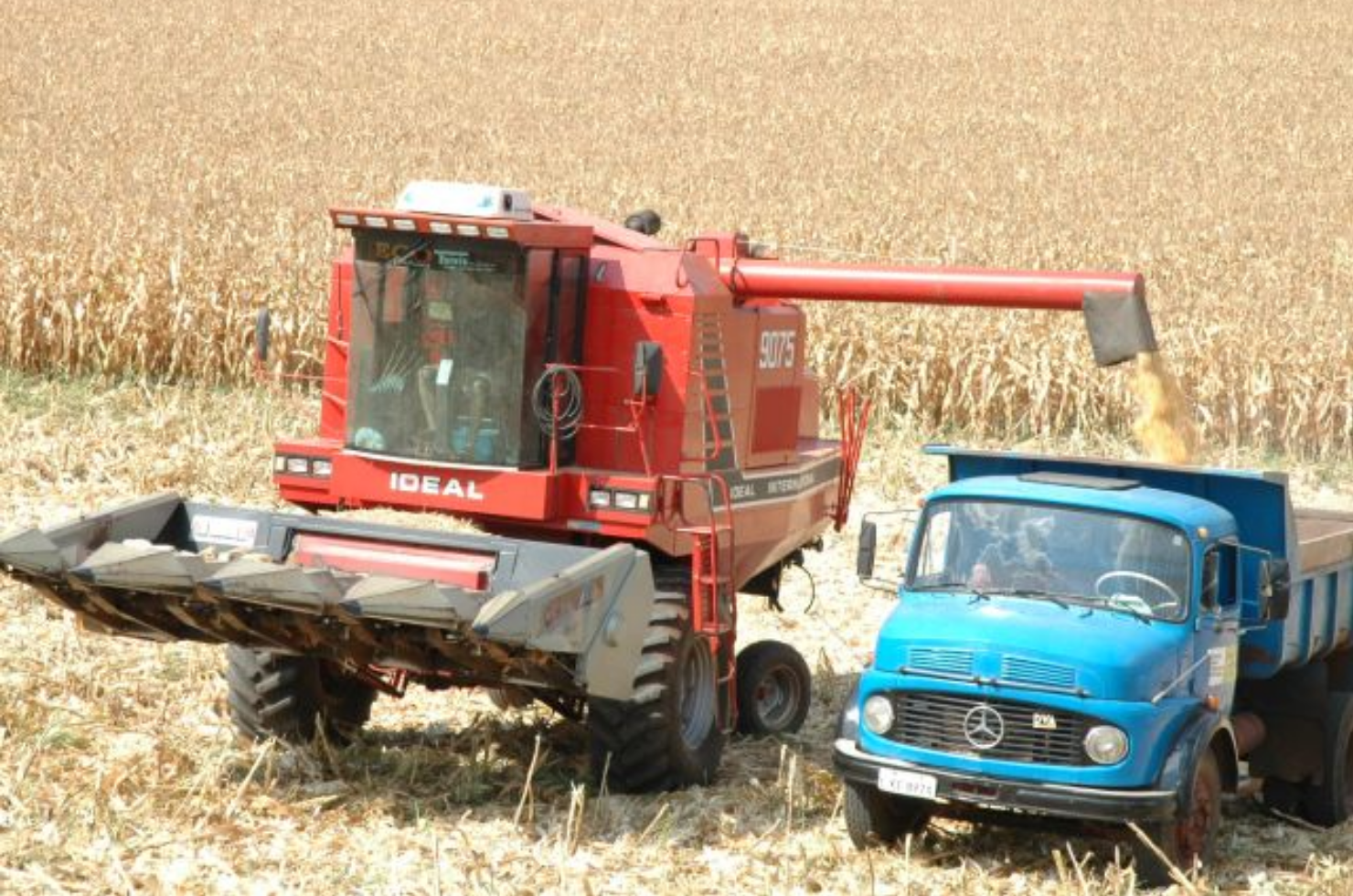 Aumento na produção agrícola é estimado para safra de verão