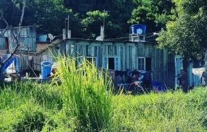 Comunidade localizada nos Ingleses é alvo de força-tarefa contra ocupação irregular em Florianópolis