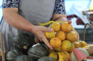 Feira da agricultura familiar de Criciúma é boa opção para comprar produtos direto do campo