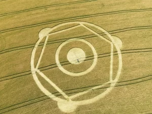 Marcas misteriosas em plantação voltam a aparecer no interior catarinense