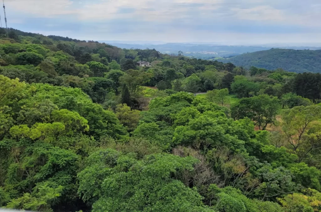 Área Verde em torno do Morro Cechinel, em Criciúma