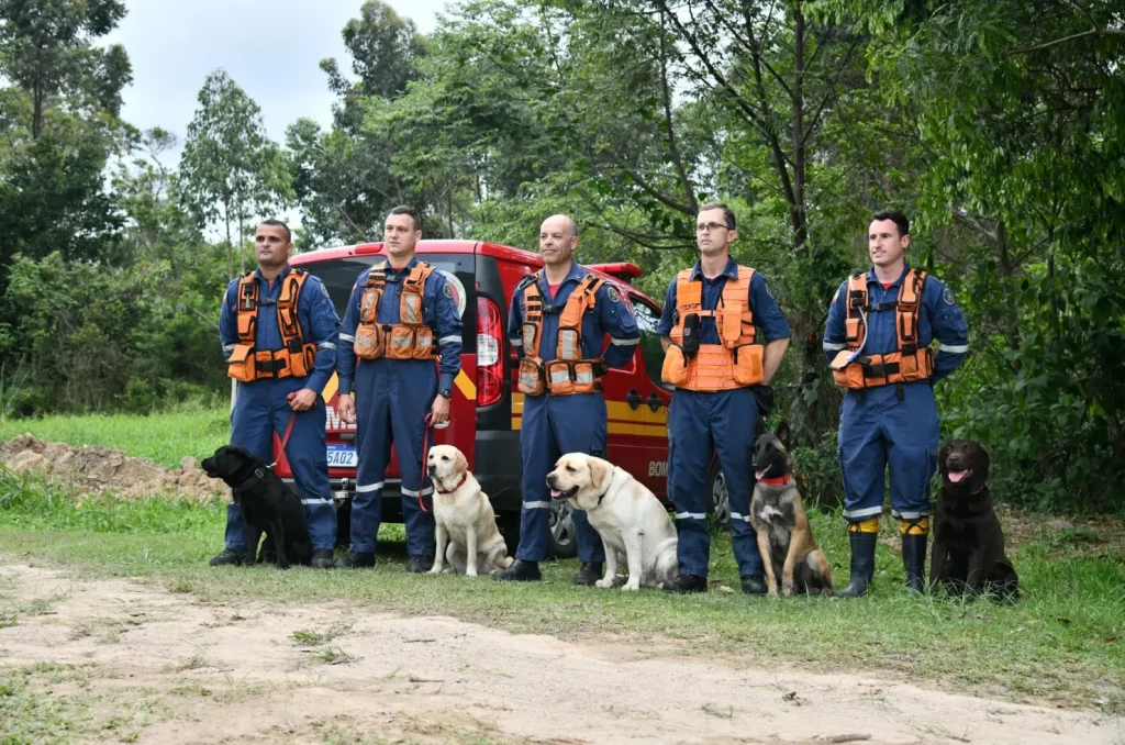 Binômios do Corpo de Bombeiros Militar de SC competem na Competição Sul-Americana de Cães de Trabalho em Florianópolis