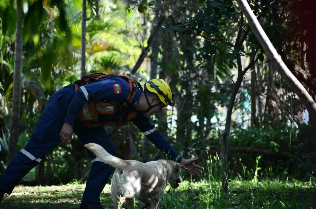 Binômios do Corpo de Bombeiros Militar de SC competem na Competição Sul-Americana de Cães de Trabalho em Florianópolis