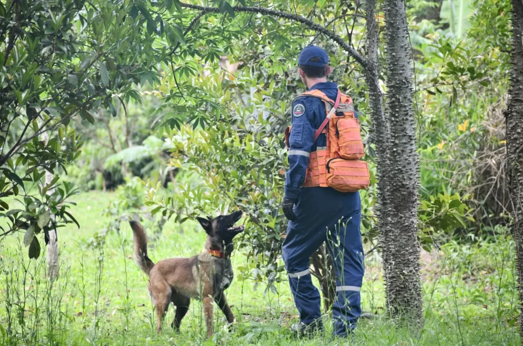 Binômios do Corpo de Bombeiros Militar de SC competem na Competição Sul-Americana de Cães de Trabalho em Florianópolis
