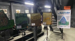 Exposição ‘Imbituba por Liz Panek’ retrata natureza local