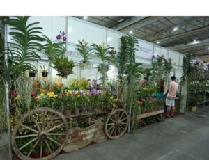 Festa das Flores vai movimentar Joinville em novembro