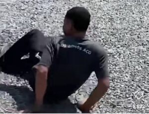 VIDEO: Lagarto dá o troco