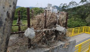 Casan monitora aves em obra da ETE João Paulo na capital