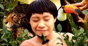 “Paz com a natureza”: A COP 16 e a preservação da biodiversidade global