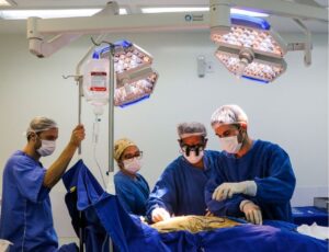 Tabela praticada em SC impulsiona cirurgias eletivas