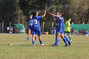 Avaí/Kindermann goleia o Tunense em 10 a 0