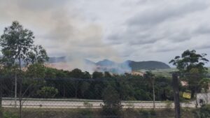 Incêndio atinge área de vegetação na Grande Florianópolis
