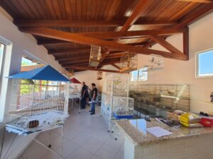 Operação apreende 59 aves e tartaruga mantidas de forma ilegal na capital
