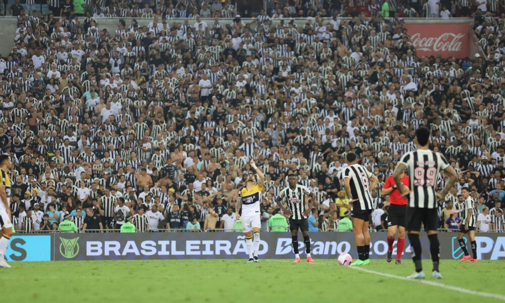 Botafogo 1×1 Criciúma é o maior público da história do Tigre