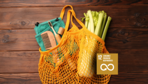 ODS 12: Consumo consciente como resposta à tríplice crise planetária
