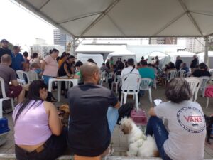 Gato morre durante mutirão de castração em Tubarão