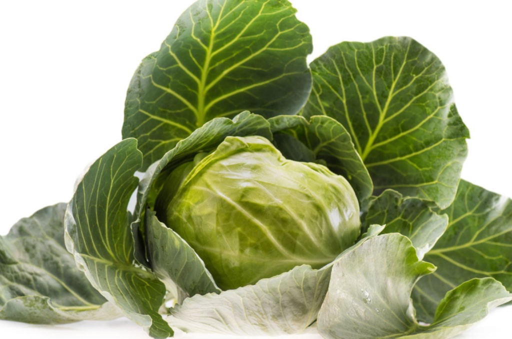 Conheça os benefícios da couve para a saúde