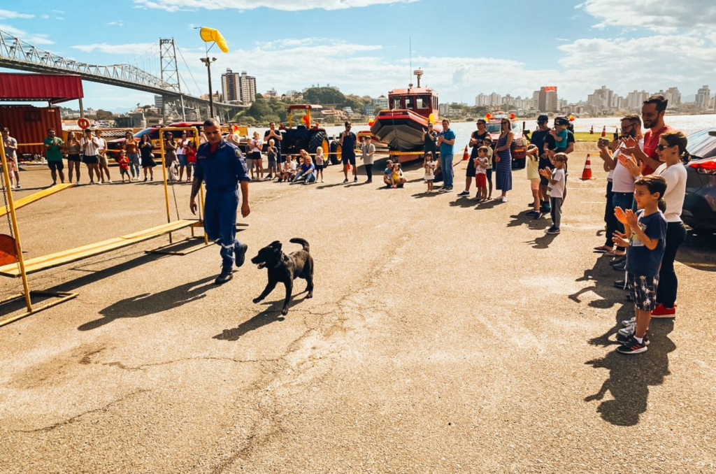 Mais de 50 mil crianças participam do Quartel de Portas Abertas
