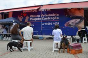 Tubarão deve fechar o ano com 1.800 castrações realizadas