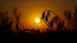 Domingo de eleições será de sol e temperaturas agradáveis em SC