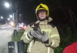 Gato é resgatado e adotado por bombeiro voluntário em Jaguaruna