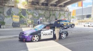 Automóvel caracterizado como viatura policial dos EUA é abordado em fiscalização da PRF